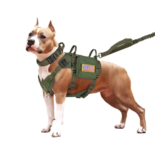 Forestpaw Taktisches Hundegeschirr und einfache Kontrolle, Trainings-Hundehalsband mit Bungee-Hundeleine, Set, kein Ziehen, Militär-Hundegeschirr mit Rucksack für kleine, mittelgroße Hunde, Grün, von Forestpaw