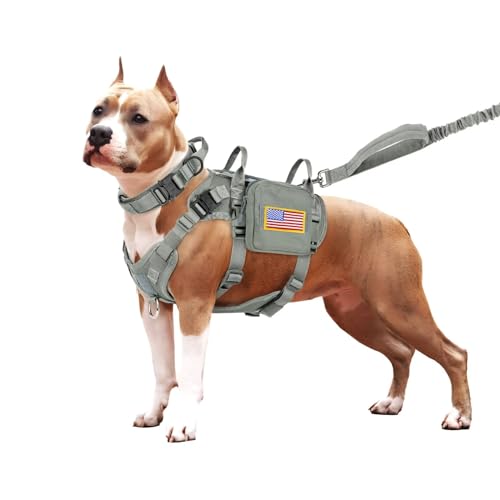 Forestpaw Taktisches Hundegeschirr und einfache Kontrolle, Trainings-Hundehalsband mit Bungee-Hundeleine, kein Ziehen, Militär-Hundegeschirr mit Rucksack für kleine, mittelgroße Hunde, Grau, Größe S von Forestpaw