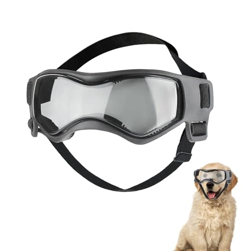 Hundebrille für Kleine Hunde, Anti-UV Hundebrille Sonnenbrille mit Verstellbare Band, Wasserdicht Winddicht Augenschutz Hundeschutzbrille für Kleine Hunde von Forhome