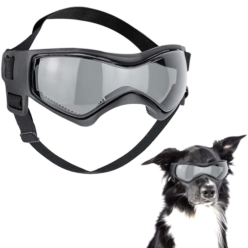 Hundebrille für Kleine Hunde, Anti-UV Hundebrille Sonnenbrille mit Verstellbare Band, Wasserdicht Winddicht Augenschutz Hundeschutzbrille für Mittlere Hunde (Schwarz) von Forhome