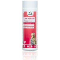 Fortan Carni-Fortan Pulver mit L-Carnitin 350 g von Fortan