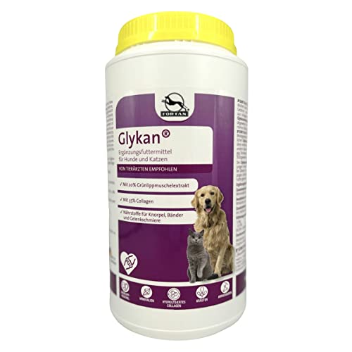 Fortan Glykan, 1er Pack (1 x 1200 g) von Fortan