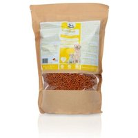 Fortan Karotten 2,5 kg von Fortan