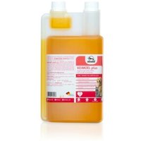 Fortan Keimöl plus mit Gamma-Linolen 1 l von Fortan