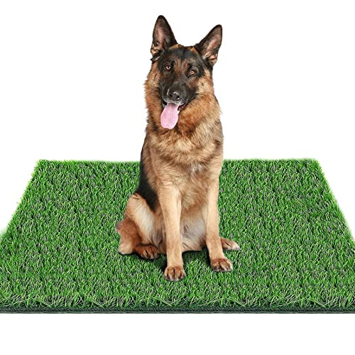 Fortune-Star-Kunstrasen für Hunde Professioneller Hundegrasmatten-Kunstrasen mit Ablaufablauf Einfache Reinigung für das Training der Rasendekoration auf der Innenterrasse (XL:80 cm * 100 cm) von Fortune-star