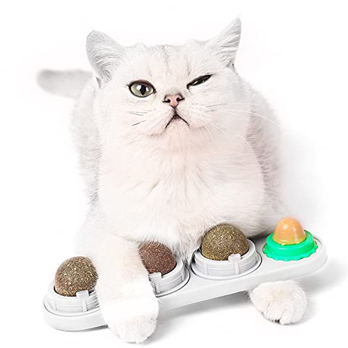 Fortune-star Wandbälle mit Katzenminze, Katzenspielzeug, essbar, Leckbälle, Snack, natürlich, gesund, drehbar, für Kätzchen, Spielen, Kauen und Putzen Fortune-star Wandbälle mit Katzenminze, Katzenspielzeug, essbar, Leckbälle, Snack, natürlich, gesund, drehbar, für Kätzchen, Spielen, Kauen und Putzen von Fortune-star