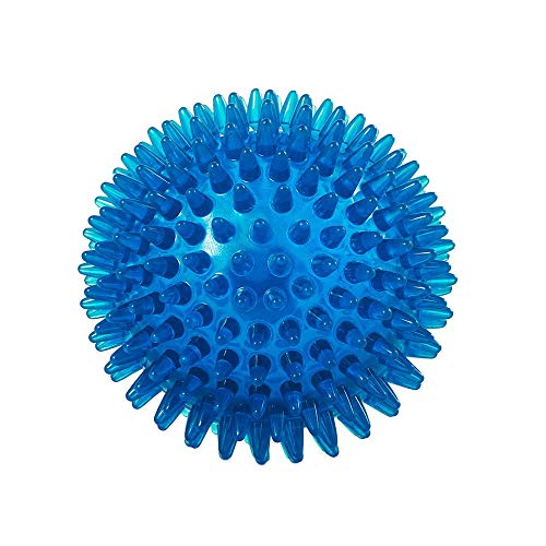 ForuMall Hundespielzeug, Quietschball mit Stachel, Quietschball mit hoher Sprungkraft, Haustier-Trainingsspielzeug, 9 cm ForuMall Hundespielzeug, Quietschball mit Stachel, Quietschball mit hoher Sprungkraft, Haustier-Trainingsspielzeug, 9 cm von ForuMall