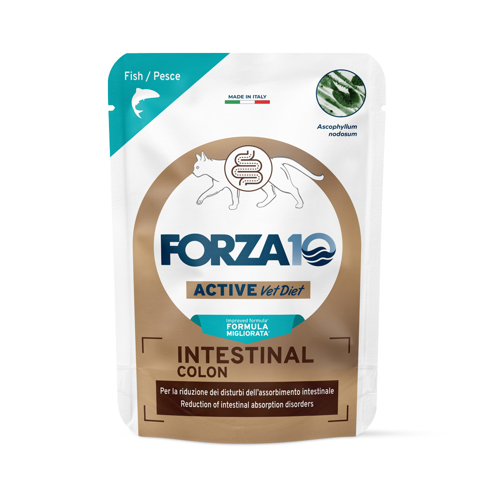 Forza 10 Intestinal Colon Active Vet Diet für Katzen 12 x 80 g - Weißfisch von Forza10 Active Line Cat