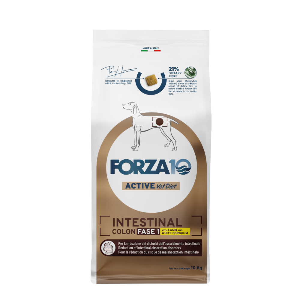 2 x 1,5 kg / 4 kg / 10 kg Forza 10 Active Line zum Sonderpreis! - Intestinal Colon Phase 1 mit Lamm (2 x 10 kg) von Forza10 Active Line Dog