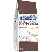 Forza 10 Active Line Intestinal Colon Phase 1 - 2 x 10 kg von Forza10 Active Line Dog