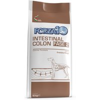 Forza 10 Active Line Intestinal Colon Phase 2 - 2 x 10 kg von Forza10 Active Line Dog