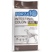 Forza 10 Intestinal Colon Phase 1 mit Lamm - 10 kg von Forza10 Active Line Dog