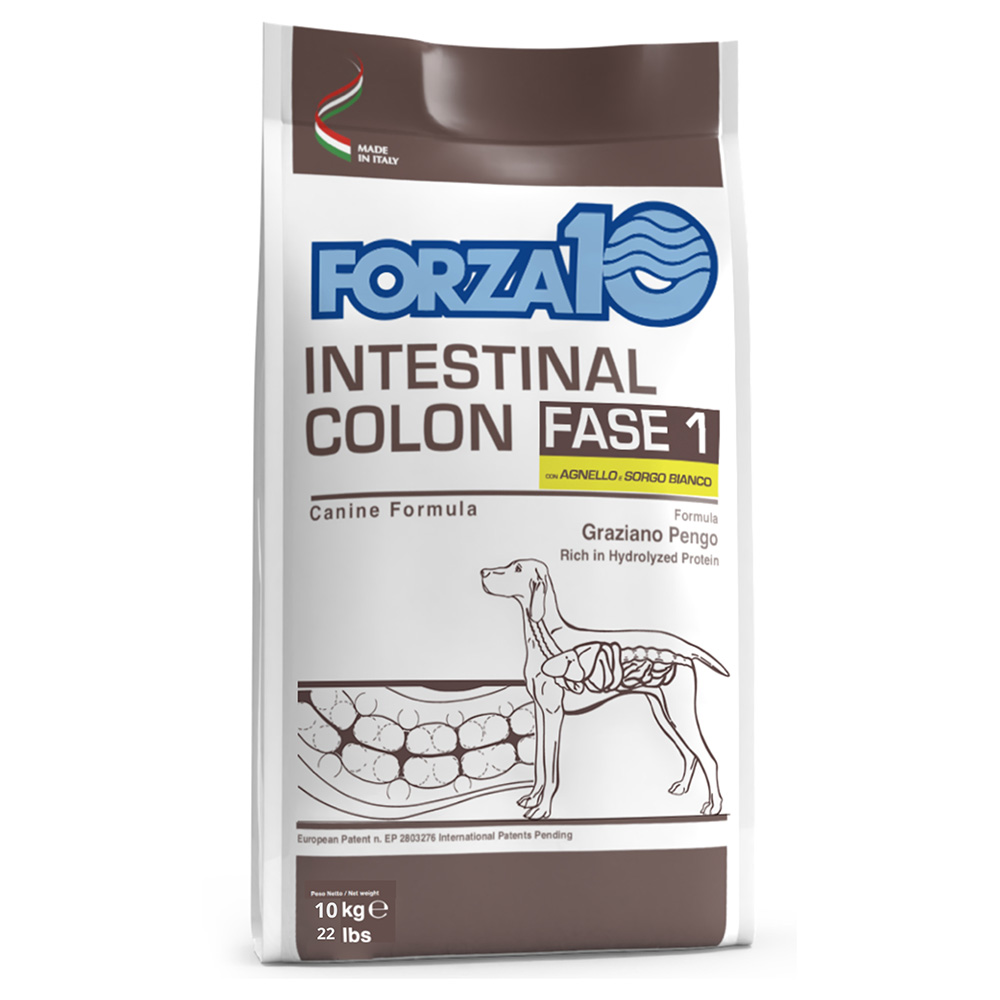 Forza 10 Intestinal Colon Phase 1 mit Lamm - Sparpaket: 2 x 10 kg von Forza10 Active Line Dog