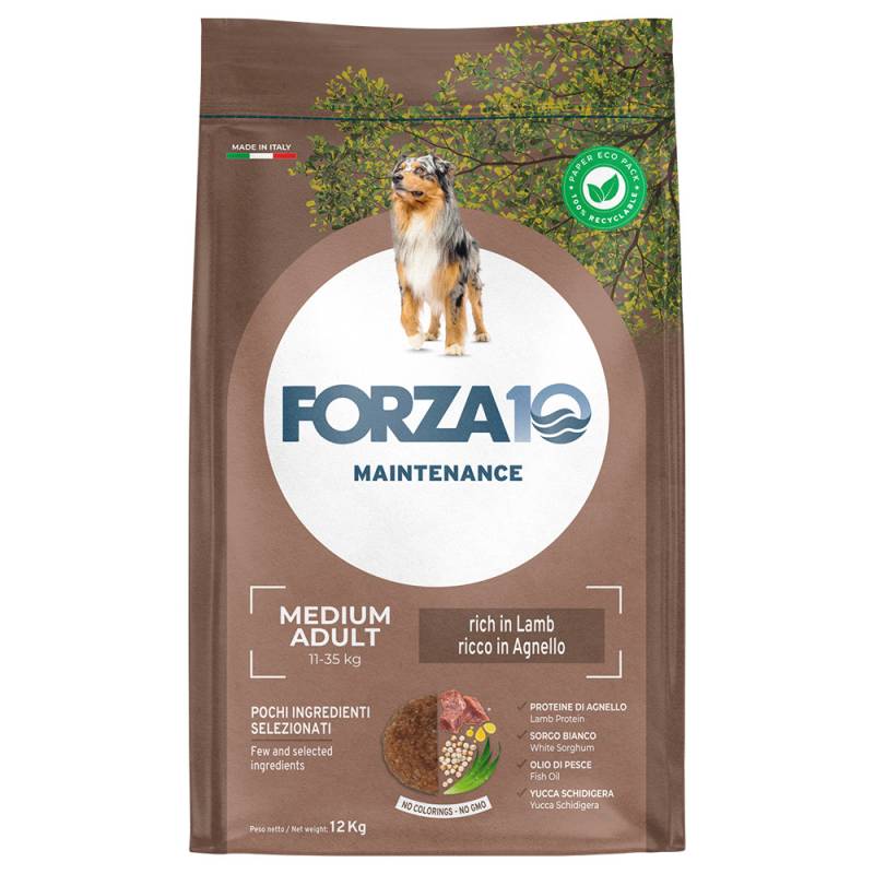Forza 10 Medium Maintenance Lamm & Reis - Sparpaket: 2 x 12 kg Forza 10 Medium Maintenance Lamm & Reis - Sparpaket: 2 x 12 kg von Forza10 Maintenance Dog