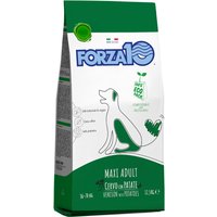 Forza10 Maintenance Maxi mit Wild & Kartoffel - 12,5 kg von Forza10 Maintenance Dog