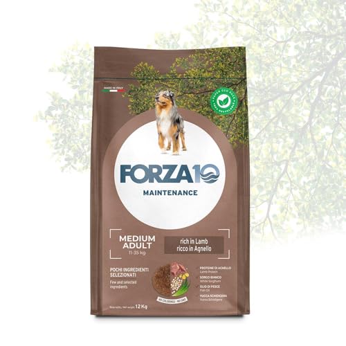 Forza10 Hund Maintenance Medium Adult Lamm - 12 kg Forza10 Hund Maintenance Medium Adult Lamm - 12 kg von Forza10