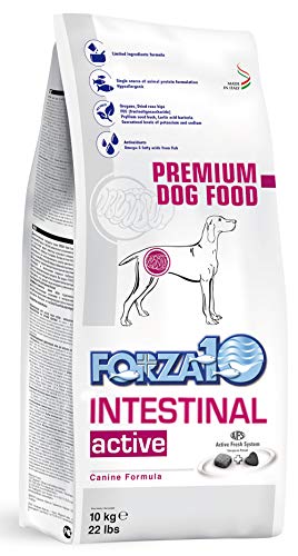 Forza10 Intestinal Active Trockenfutter für Hunden mit Magenschleimhautentzündung, 1er Pack (1 x 10 kg) von Forza10