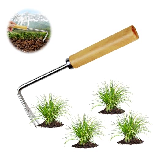Fosoloni Unkrautstecher Edelstahl Garten Manueller Weeder Wurzeljäter Gartengerät,Wurzeljäter Unkrautgabel für Garten zum Graben, Umpflanzen, Jäten Fosoloni Unkrautstecher Edelstahl Garten Manueller Weeder Wurzeljäter Gartengerät,Wurzeljäter Unkrautgabel für Garten zum Graben, Umpflanzen, Jäten von Fosoloni