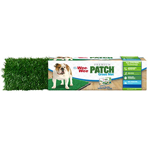 Four Paws Wee-Wee Premium Patch Indoor & Outdoor Haustier Töpfchen für Hunde l Hund Töpfchentraining l Kunstrasen l Wee-Wee Patch von Four Paws