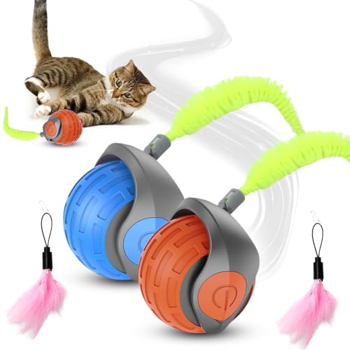 2 Pcs Chase Master Pro Katzenspielzeug Wiederaufladbar Katzenspielzeug Selbstbeschäftigung Rolling Ball mit Flauschigem,Speedy Tail Katzen Spielzeug Interaktives Katzen Spielzeug Elektrisch Pet Ball 2 Pcs Chase Master Pro Katzenspielzeug Wiederaufladbar Katzenspielzeug Selbstbeschäftigung Rolling Ball mit Flauschigem,Speedy Tail Katzen Spielzeug Interaktives Katzen Spielzeug Elektrisch Pet Ball von Fouvin