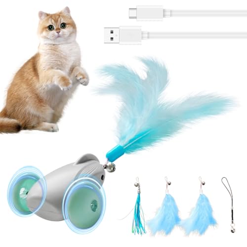 Fouvin Katzenspielzeug Selbstbeschäftigung Interaktives Katzenspielzeug Elektrisch mit LED und Soundeffekten Automatisch Cat Toys Katzenspielzeug Interaktiv Spielzeug Katzen USB Aufladbar, Grün Fouvin Katzenspielzeug Selbstbeschäftigung Interaktives Katzenspielzeug Elektrisch mit LED und Soundeffekten Automatisch Cat Toys Katzenspielzeug Interaktiv Spielzeug Katzen USB Aufladbar, Grün von Fouvin