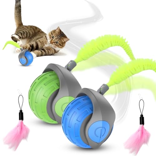 Katzenspielzeug Elektrisch, 2 Pcs Wiederaufladbar Katzenspielzeug Selbstbeschäftigung Rolling Ball,Speedy Tail Katzen Spielzeug mit Flauschigem Interaktives Katzen Spielzeug Elektrisch Pet Ball Katzenspielzeug Elektrisch, 2 Pcs Wiederaufladbar Katzenspielzeug Selbstbeschäftigung Rolling Ball,Speedy Tail Katzen Spielzeug mit Flauschigem Interaktives Katzen Spielzeug Elektrisch Pet Ball von Fouvin