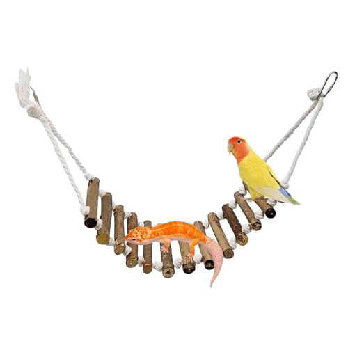 Foway Gecko-Seilleiter, Reptilien-Holzleiter - Vertikale Treppen zum Klettern - Dekorative, langlebige, einfach zu montierende Mehrzweck-Reptilien-Kletterbrücke bietet körperliche und geistige Foway Gecko-Seilleiter, Reptilien-Holzleiter - Vertikale Treppen zum Klettern - Dekorative, langlebige, einfach zu montierende Mehrzweck-Reptilien-Kletterbrücke bietet körperliche und geistige von Foway