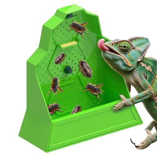 Foway Terrarium Futternapf - Gecko Futternapf Anti Flucht,Jagschale Für Schildkröte Spinne Gecko Bartagame Foway Terrarium Futternapf - Gecko Futternapf Anti Flucht,Jagschale Für Schildkröte Spinne Gecko Bartagame von Foway
