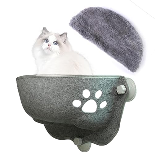 Fensterkatzensitz - Fensterhängematte für Katzen drinnen - Hält bis zu 15 kg. Fenstermontiertes Katzenbett, stabile Katzenfensterstange, Katzenfensterbett, Katzenmöbel Fowybe Fensterkatzensitz - Fensterhängematte für Katzen drinnen - Hält bis zu 15 kg. Fenstermontiertes Katzenbett, stabile Katzenfensterstange, Katzenfensterbett, Katzenmöbel Fowybe von Fowybe