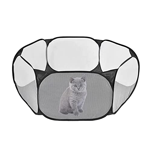 Fowybe Hundespiele, Tierspieler Käfig, Faltbarer Indoor Outdoor-Yard-Zaun Für Hamster, Chinchillas, Meerschweinchen, Eichhörnchen, Kaninchen, 120x38cm Kleines Tierspieler Haustierzaun Fowybe Hundespiele, Tierspieler Käfig, Faltbarer Indoor Outdoor-Yard-Zaun Für Hamster, Chinchillas, Meerschweinchen, Eichhörnchen, Kaninchen, 120x38cm Kleines Tierspieler Haustierzaun von Fowybe