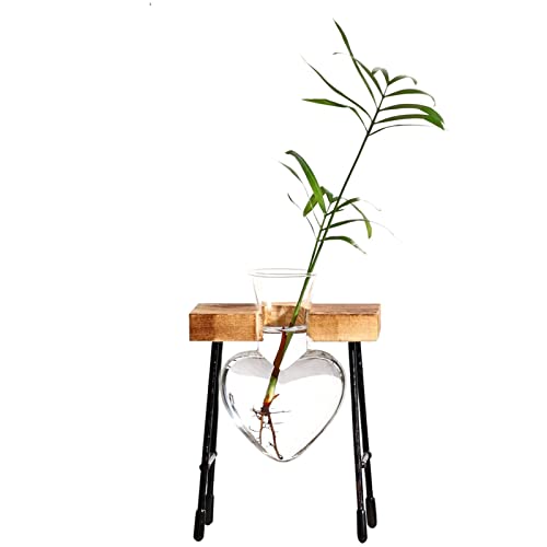 Fowybe Pflanzenvermehrungsstation Terrarium, Tischkübel aus Glas mit Holzständer für Hydrokultur, Blumenzwiebel-Vase-Herz-Pflanzenterrarium für Home-Dekor von Fowybe