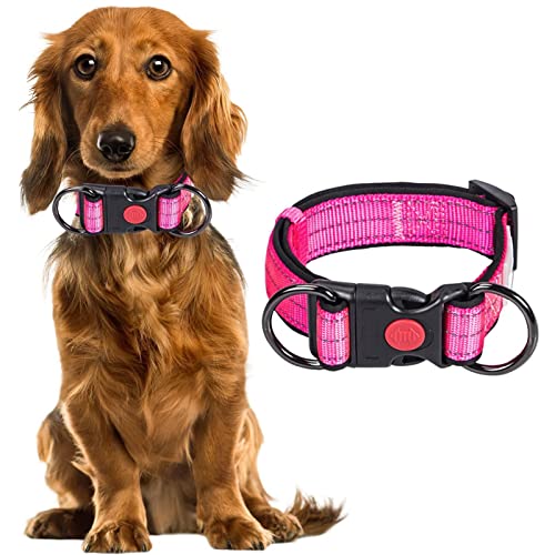 Fowybe Reflektierendes Hundehalsband,Verstellbarer Hundehalsbandriemen - Nylon-Trainingshalsband für Welpen, kleine und mittelgroße Hunde von Fowybe