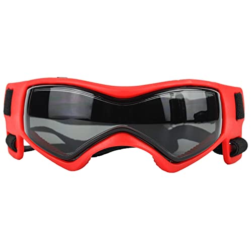 Fowybe Schutzbrillen für Hunde,Mittelgroße Hundebrille mit verstellbarem Kopfband | Haustierbrille zur Verhinderung von Sonne, Wind, Sand, weit verbreitet für kleine bis große Hunde für Partys Fowybe Schutzbrillen für Hunde,Mittelgroße Hundebrille mit verstellbarem Kopfband | Haustierbrille zur Verhinderung von Sonne, Wind, Sand, weit verbreitet für kleine bis große Hunde für Partys von Fowybe