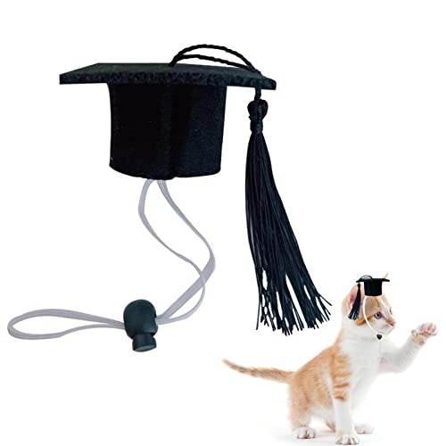 Fowybe Schwarze Hundeabschluss-Hüte | Kleine Hunde-Abschlussmützen mit schwarzer Quaste, Mini-Tier-Abschlussmütze - Pets Mini Bachelor Hüte Fotorequisiten Kostümzubehör Fowybe Schwarze Hundeabschluss-Hüte | Kleine Hunde-Abschlussmützen mit schwarzer Quaste, Mini-Tier-Abschlussmütze - Pets Mini Bachelor Hüte Fotorequisiten Kostümzubehör von Fowybe
