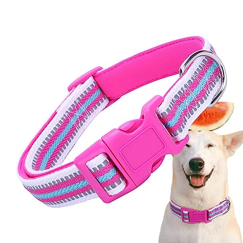 Hundehalsband reflektierend,Verstellbare Haustierhalsbänder, gepolstertes Hundehalsband | Haustier-Nacht-Gehhalsband, Haustierhalsbänder für kleine, mittelgroße und große Hunde, Katzen, Fowybe Hundehalsband reflektierend,Verstellbare Haustierhalsbänder, gepolstertes Hundehalsband | Haustier-Nacht-Gehhalsband, Haustierhalsbänder für kleine, mittelgroße und große Hunde, Katzen, Fowybe von Fowybe