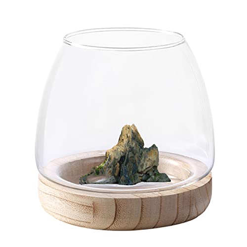 Hydrokulturvase mit Holzständer | Fischglasvase aus transparentem Glas mit Holzständer - Weithals-Blumenvase, Terrarium, Glas-Hydrokultur-Pflanzgefäß, klare Fischschale für die Heimdekoration Fowybe von Fowybe