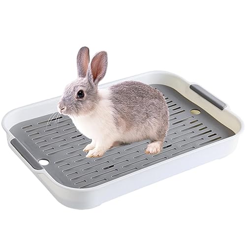 Kaninchentoilette, Haustier-Toiletten-Töpfchentablett mit Drainage, Haustier-Toilettentopf für Chinchillas, Hasen, Katzen, Meerschweinchen, Kätzchen und andere Kleintiere Fowybe Kaninchentoilette, Haustier-Toiletten-Töpfchentablett mit Drainage, Haustier-Toilettentopf für Chinchillas, Hasen, Katzen, Meerschweinchen, Kätzchen und andere Kleintiere Fowybe von Fowybe