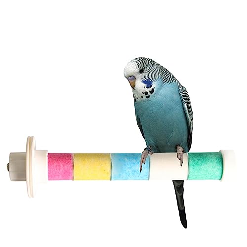 Vogelständer-Spielzeug | Mattierte Standstange zum Krallenschleifen - Quarzstein-Übungsspielzeug für Sittiche, Wellensittiche, Turteltauben, mittelgroße Papageien und Nymphensittiche Fowybe Vogelständer-Spielzeug | Mattierte Standstange zum Krallenschleifen - Quarzstein-Übungsspielzeug für Sittiche, Wellensittiche, Turteltauben, mittelgroße Papageien und Nymphensittiche Fowybe von Fowybe