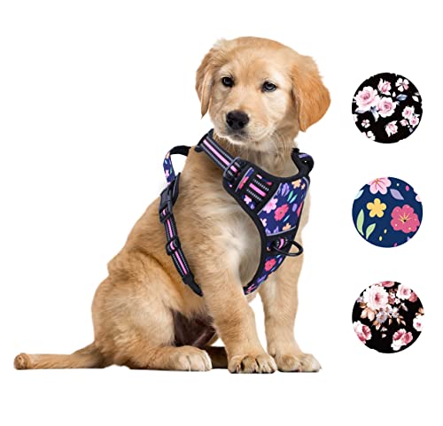 Foxyep Hundegeschirr, kein Ziehen, für mittelgroße Hunde, mit leicht zu kontrollierendem Griff, reflektierender Gurt für Welpenspaziergänge, Training, kein Würgen, atmungsaktiv, niedliches Foxyep Hundegeschirr, kein Ziehen, für mittelgroße Hunde, mit leicht zu kontrollierendem Griff, reflektierender Gurt für Welpenspaziergänge, Training, kein Würgen, atmungsaktiv, niedliches von Foxyep
