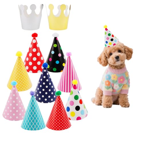 11 x bunte Hunde-Geburtstagsparty-Hüte, konoidale Krone, Katze, Hund, Geburtstagsparty, Krone, Partyzeit für Katzen und Hundepartys von Foyods