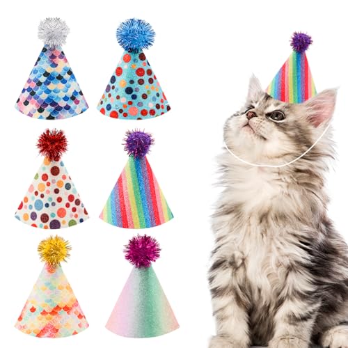 6 x Katzen-Geburtstagshut und Hunde-Partyhut, bunte Mini-Partyhut, Hunde-Geburtstagshut für Stofftiere, verstellbare Stirnbänder, Geburtstagshüte für Welpen, Kätzchen, Kaninchen, Kleintiere, 6 x Katzen-Geburtstagshut und Hunde-Partyhut, bunte Mini-Partyhut, Hunde-Geburtstagshut für Stofftiere, verstellbare Stirnbänder, Geburtstagshüte für Welpen, Kätzchen, Kaninchen, Kleintiere, von Foyods