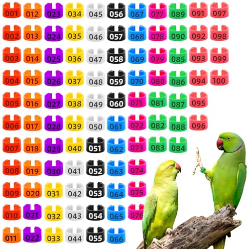 Beinbänder für Vögel, bunte Tauben, Hühnerbeinbänder, 1–100 kleine Geflügelbeinbänder, Küken, Wachteln, Enten, Beinbänder, Fußbänder, Clip-on-Beinringe für Küken, Bantam, Lovebird von Foyods
