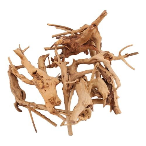 Fozriybefy Mini Treibholz für Aquarium Natur Zweige Aquarium Dekorationen Reptilien Stamm Treibholz Sortiert (10 Pack) von Fozriybefy