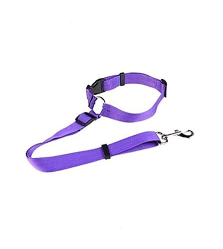 Seil Haustier Haustier Auto Sicherheitsgurt Nylon Sitzgurt Einstellbare Einstellbare Kabelbaum Sicherheitsgurt Blei Leine for kleine mittelgroße Hunde Reiseclip Haustierleine Mit (Size : 4) von FrEshn