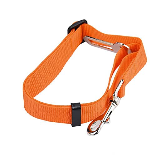 Seil Haustier Haustier Hund Katze Auto Sicherheitsgurt Einstellbare Gurtzeugggurt Blei Leine for kleine mittelgroße Hunde Reise Clip Pet Supplies 13 Farben Haustierleine Mit (Size : Orange) von FrEshn