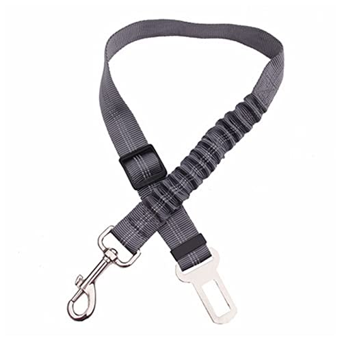 Seil Haustier Haustier liefert Hundekatze Auto Sitzgürtel Bleileine Nylon Sterbar for Pitbull Welpen Kätzchen Katze Teddy Pet Zubehör Reiseclip Haustierleine Mit (Color : Gray, Size : 45-72cm Width von FrEshn