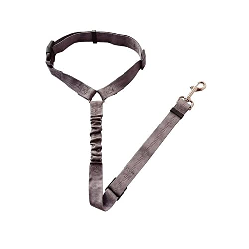 Seil Haustier Hundesitz Gürtel einstellbar Welpen Haustier Auto Seil Sicherheitsgurt Reflektierende elastische Bungee-Fahrzeug Hund Brust Blet-Kabelbaum Haustierleine Mit (Color : Grey, Size : M) von FrEshn