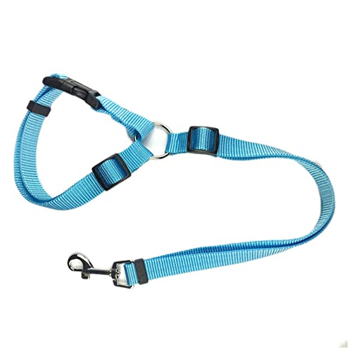 Seil Haustier Pet Products Universal Praktische Katze Hunde Sicherheit Einstellbar Auto Sicherheitsgurt Kabelbaum Leine Welpe Sicherheitsgurt Reise Clip Strap Leitungen Haustierleine Mit (Size : G) von FrEshn