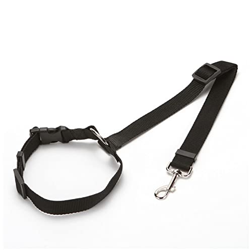Seil Haustier Pet Products Universal Praktische Katze Hunde Sicherheit Einstellbar Auto Sicherheitsgurt Kabelbaum Leine Welpe Sicherheitsgurt Reise Clip Strap Leitungen Haustierleine Mit (Size : Roun Seil Haustier Pet Products Universal Praktische Katze Hunde Sicherheit Einstellbar Auto Sicherheitsgurt Kabelbaum Leine Welpe Sicherheitsgurt Reise Clip Strap Leitungen Haustierleine Mit (Size : Roun von FrEshn