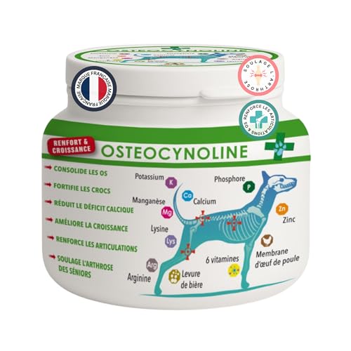 Osteocynolin für Hunde 400 g - Nahrungsergänzungsmittel für Gelenke & Knochenwachstum - Calcium & Vitamine - feste Crocs - Pulver mit Dosierlöffel - Welpe, Erwachsene & Senior von France Croquettes